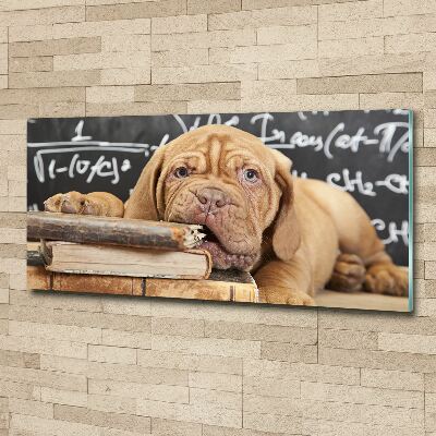 Acrylglas-Druck Der Hund beißt das Buch an
