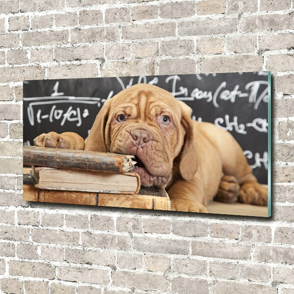 Acrylglas-Druck Der Hund beißt das Buch an