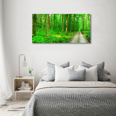 Acrylbild Fotodruck Bäume im Wald