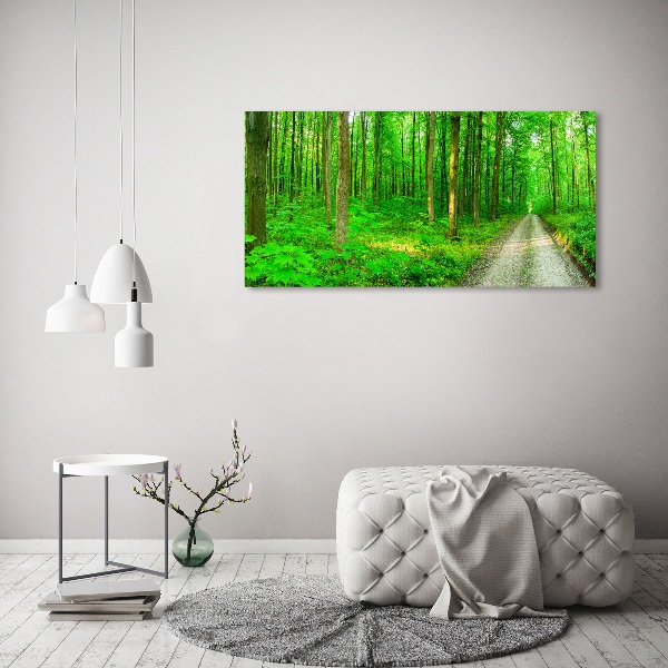 Acrylbild Fotodruck Bäume im Wald