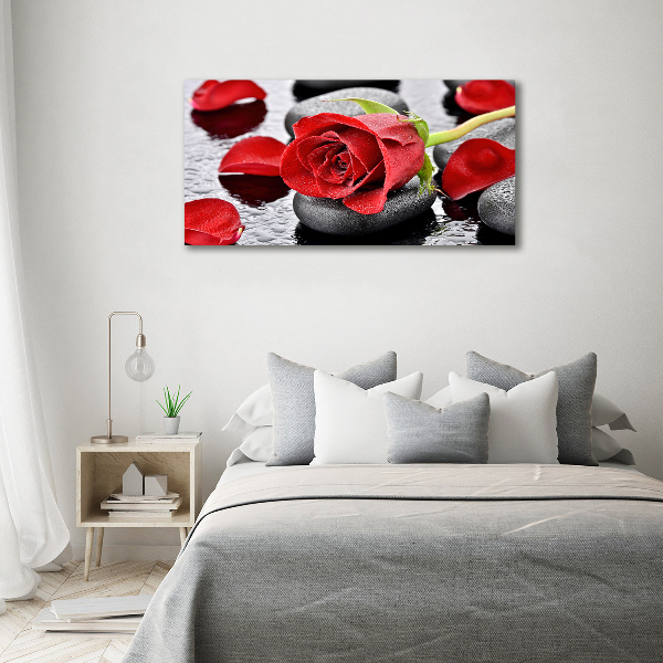 Foto auf Acryl Rote Rose