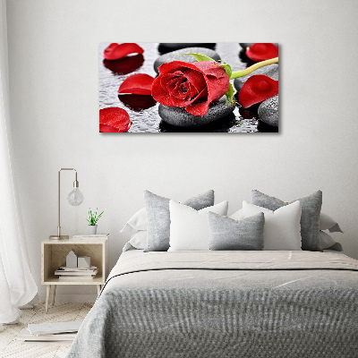 Foto auf Acryl Rote Rose