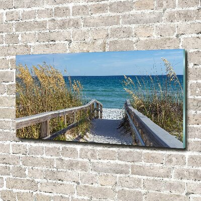 Acrylbild Fotodruck Küstendünen