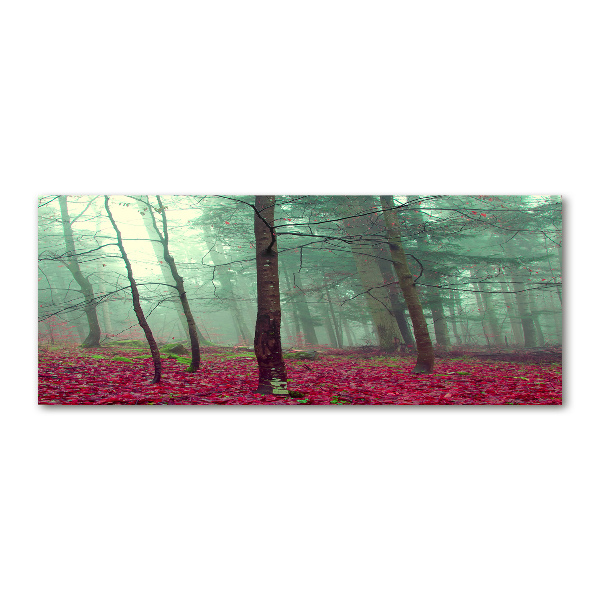 Bild auf Acrylglas Herbstblätter