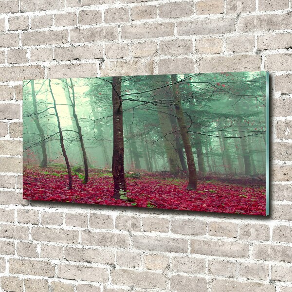 Bild auf Acrylglas Herbstblätter