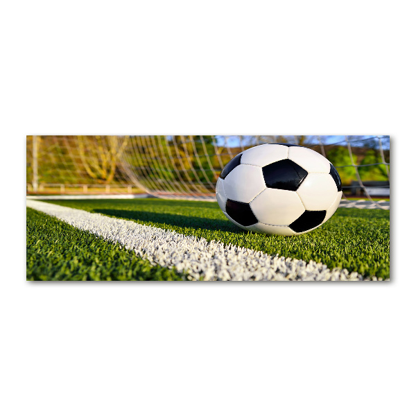 Acrylglas-Druck Der Ball ist im Tor