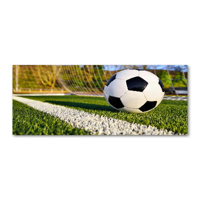 Acrylglas-Druck Der Ball ist im Tor