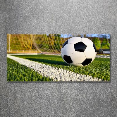Acrylglas-Druck Der Ball ist im Tor