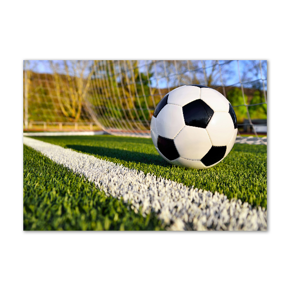 Acrylglas-Druck Der Ball ist im Tor