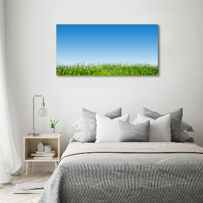 Foto auf Acryl Gras