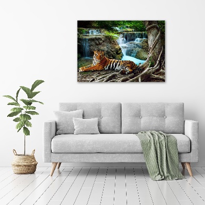 Bild auf Acrylglas Tigerwasserfall