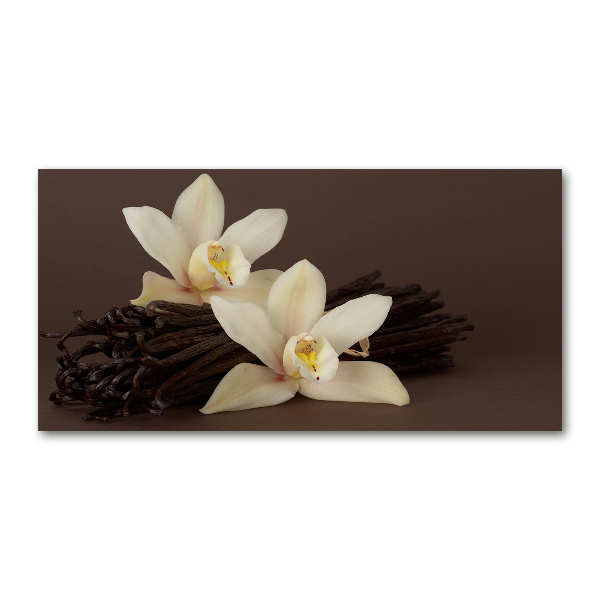 Acrylbild Fotodruck Vanilleschoten