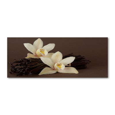 Acrylbild Fotodruck Vanilleschoten