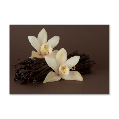 Acrylbild Fotodruck Vanilleschoten