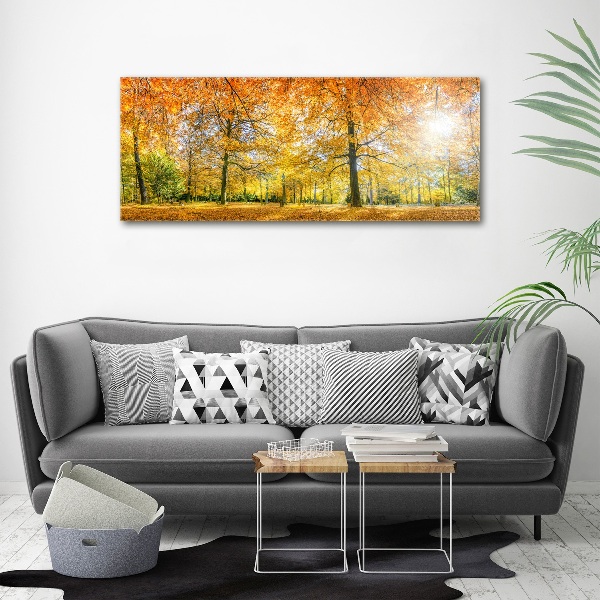 Acrylbild Fotodruck Wald im Herbst