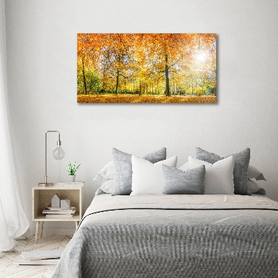Acrylbild Fotodruck Wald im Herbst