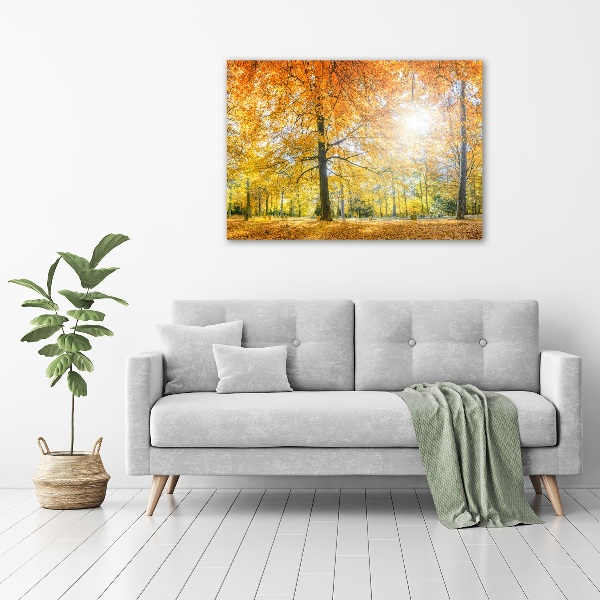 Acrylbild Fotodruck Wald im Herbst