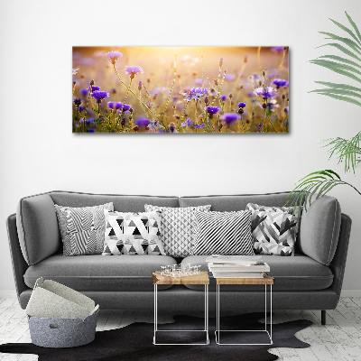 Acrylglas-Druck Wildblumen