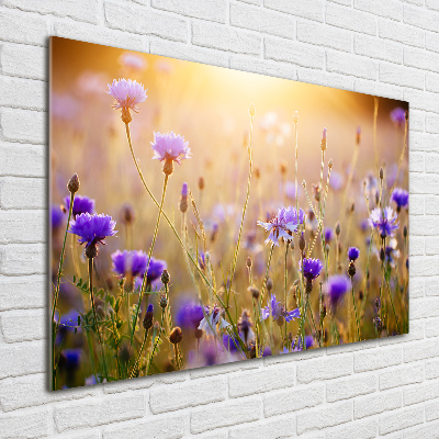 Acrylglas-Druck Wildblumen
