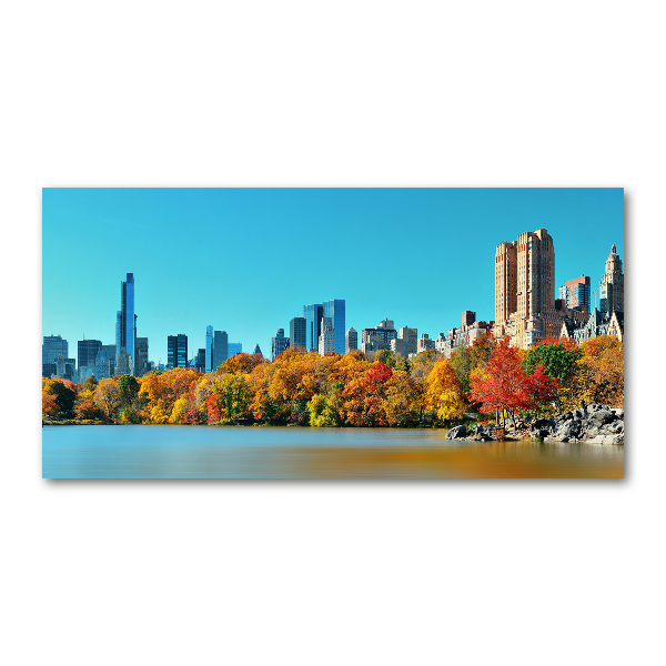 Bild auf Acrylglas New York im Herbst