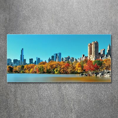 Bild auf Acrylglas New York im Herbst