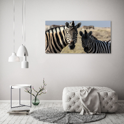 Acrylbild Fotodruck Zwei Zebras