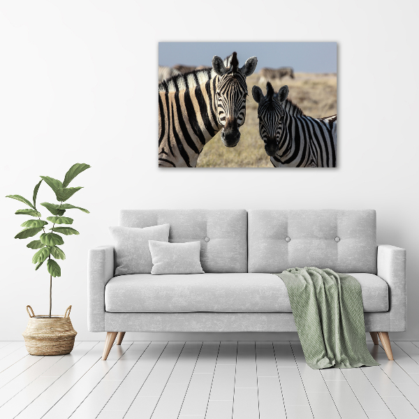 Acrylbild Fotodruck Zwei Zebras