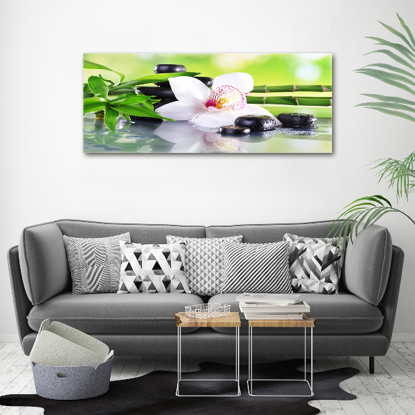 Acrylbild Fotodruck Orchidee