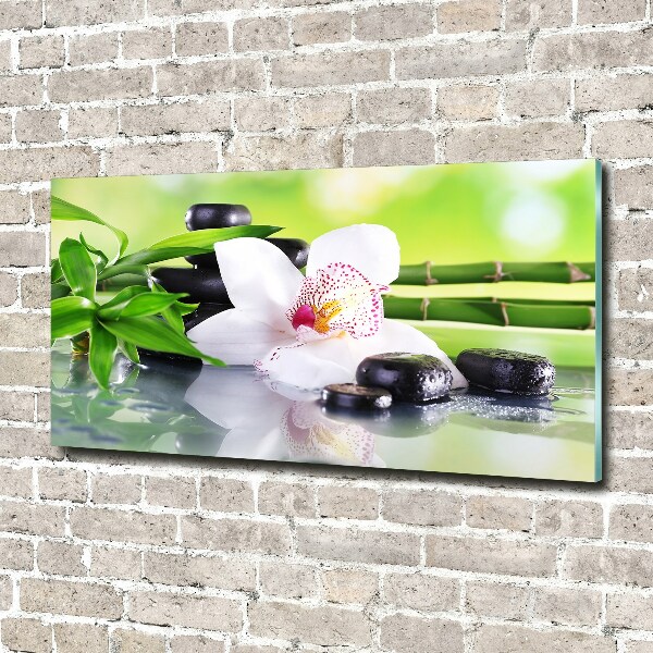 Acrylbild Fotodruck Orchidee