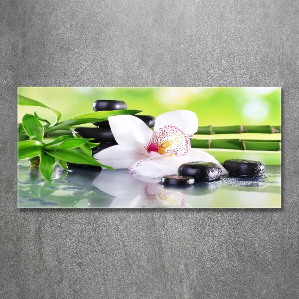Acrylbild Fotodruck Orchidee