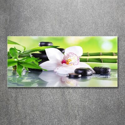 Acrylbild Fotodruck Orchidee