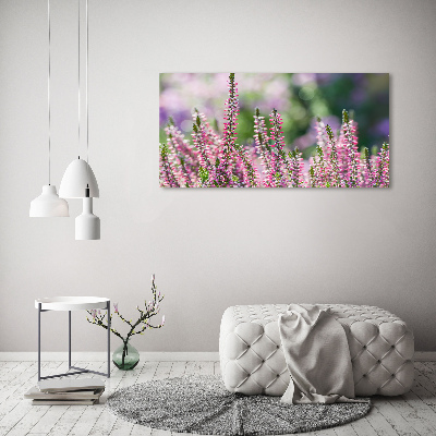 Foto auf Acryl Heidekrautblüten