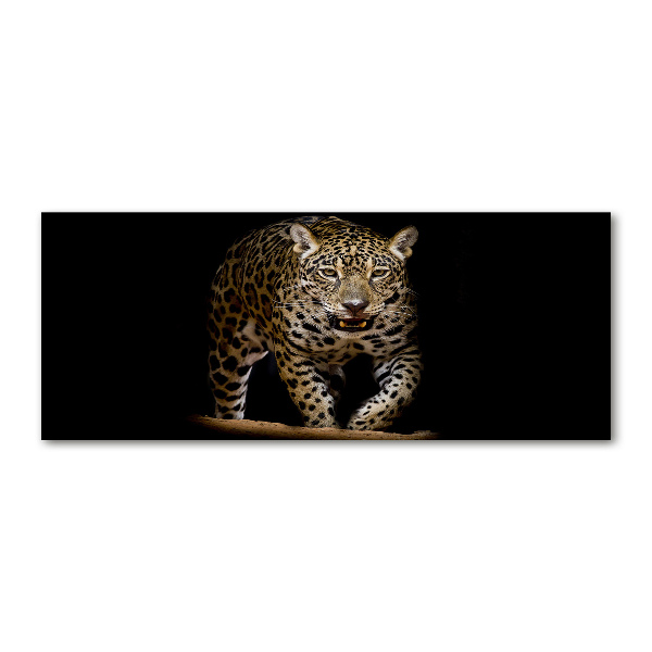 Foto auf Acryl Jaguar