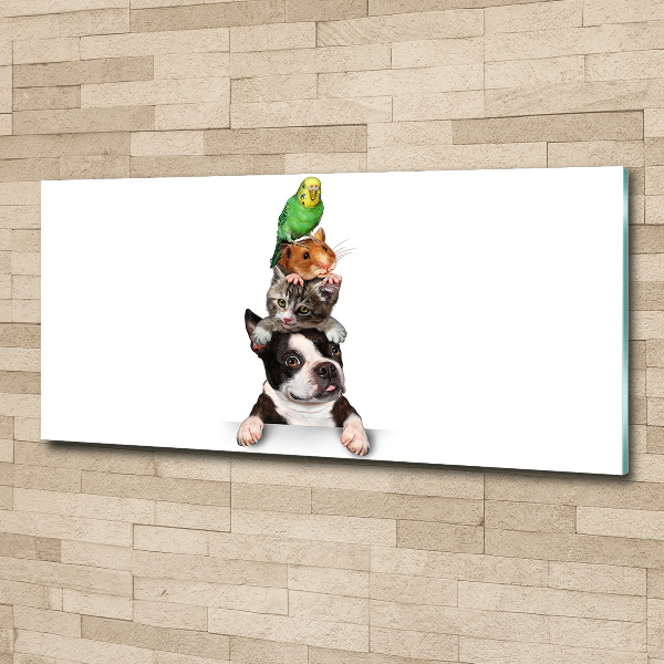 Bild auf Acrylglas Eine Gruppe von Tieren