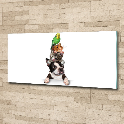 Bild auf Acrylglas Eine Gruppe von Tieren