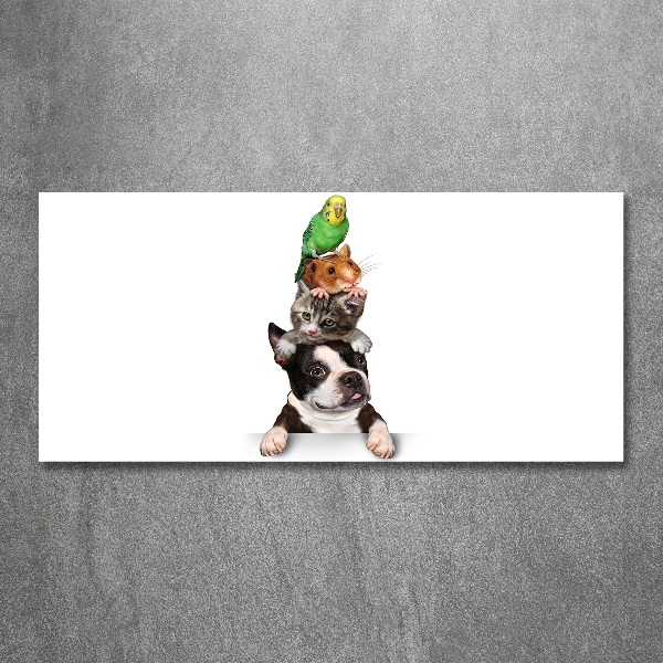 Bild auf Acrylglas Eine Gruppe von Tieren