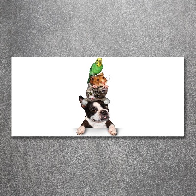 Bild auf Acrylglas Eine Gruppe von Tieren