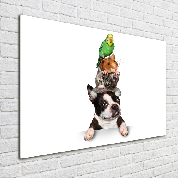 Bild auf Acrylglas Eine Gruppe von Tieren