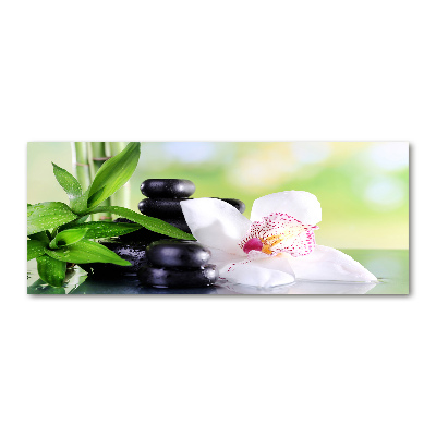 Foto auf Acryl Orchidee