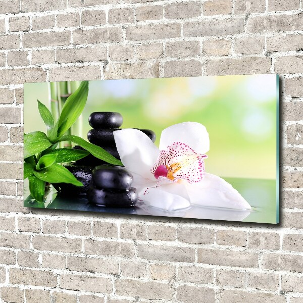 Foto auf Acryl Orchidee