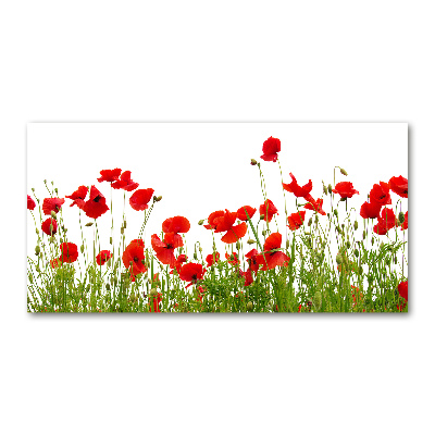 Bild auf Acrylglas Mohnblumen