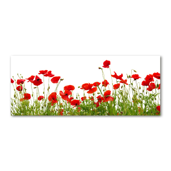 Bild auf Acrylglas Mohnblumen