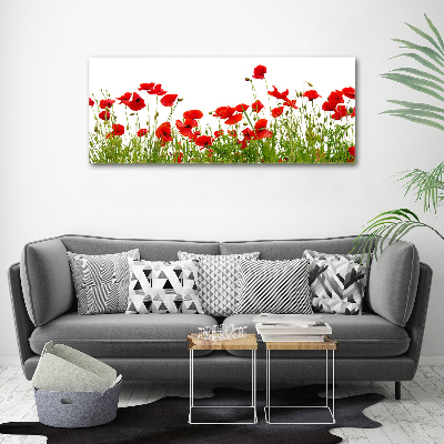 Bild auf Acrylglas Mohnblumen