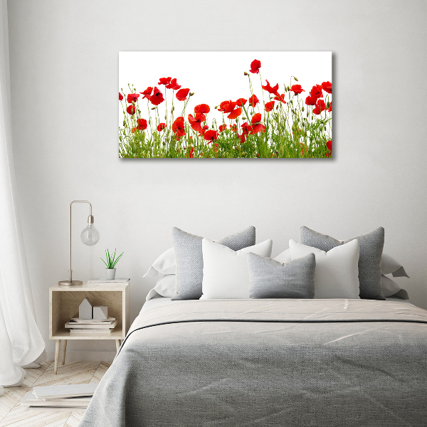 Bild auf Acrylglas Mohnblumen