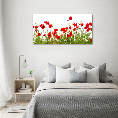 Bild auf Acrylglas Mohnblumen