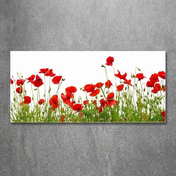 Bild auf Acrylglas Mohnblumen