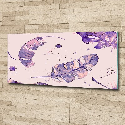 Foto auf Acryl Federn