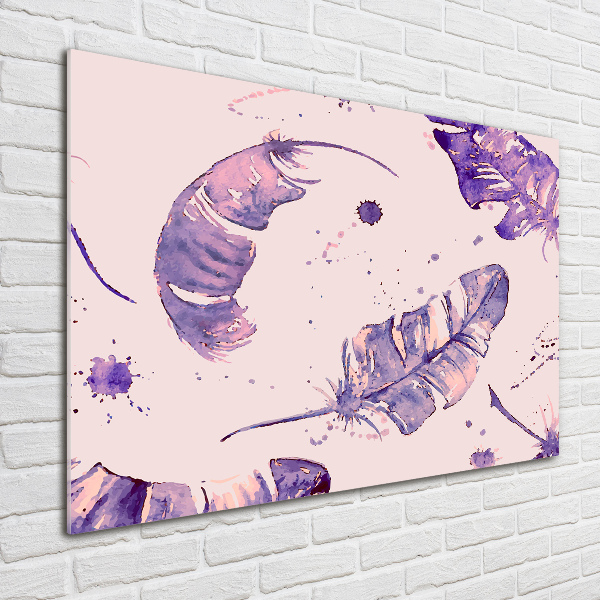 Foto auf Acryl Federn