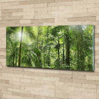 Acrylbild Fotodruck Tropischer Wald