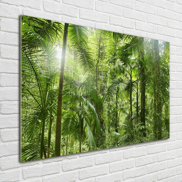 Acrylbild Fotodruck Tropischer Wald